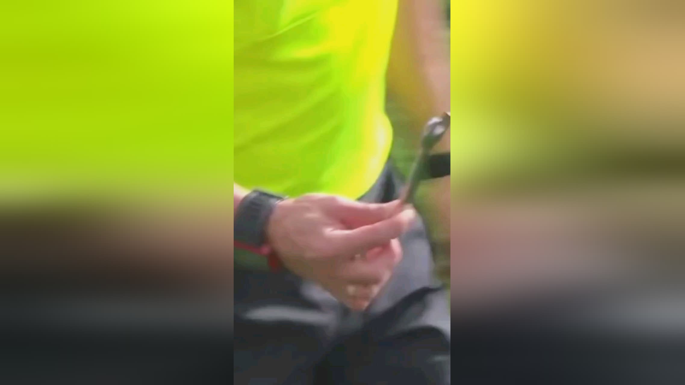 在抓鸟机