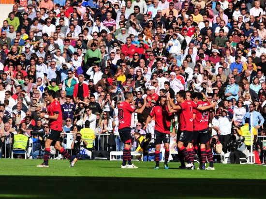 自加盟布莱 自加盟布莱